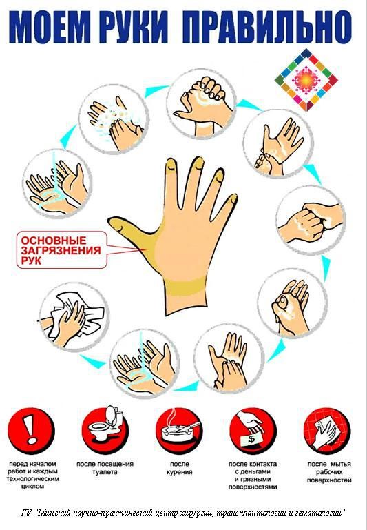 Правила личной гигиены рук