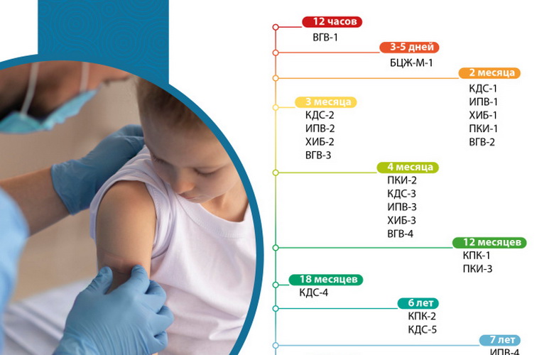 Национальный календарь профилактических прививок